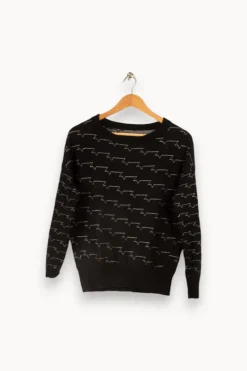 Store Zadig&Voltaire Pull - S/36 Noir